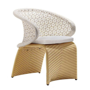 Hofer Outdoor Rattan Patio Armchair with White Cushion Arched Bottom Low-Back